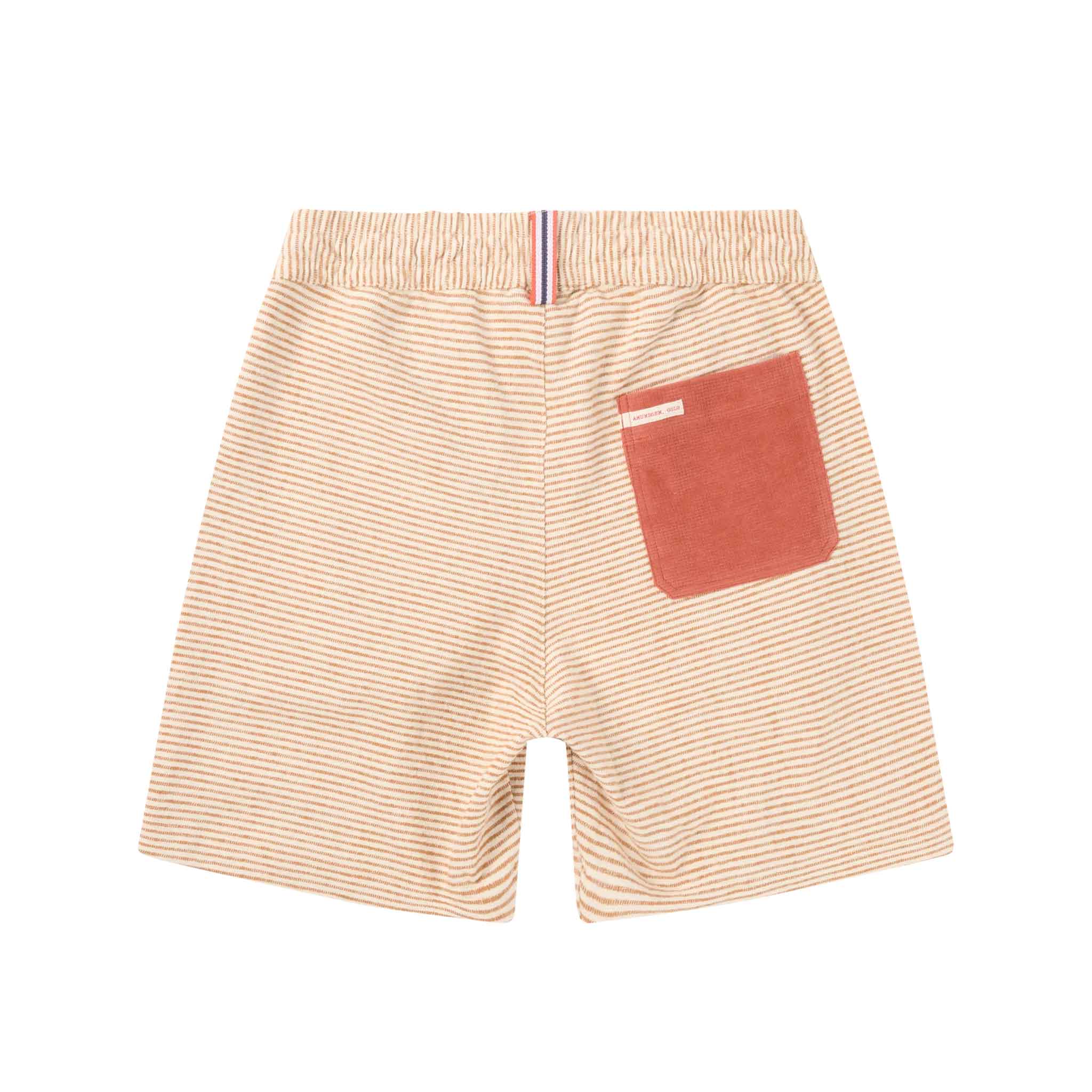 Chukka Shorts in Terra Red