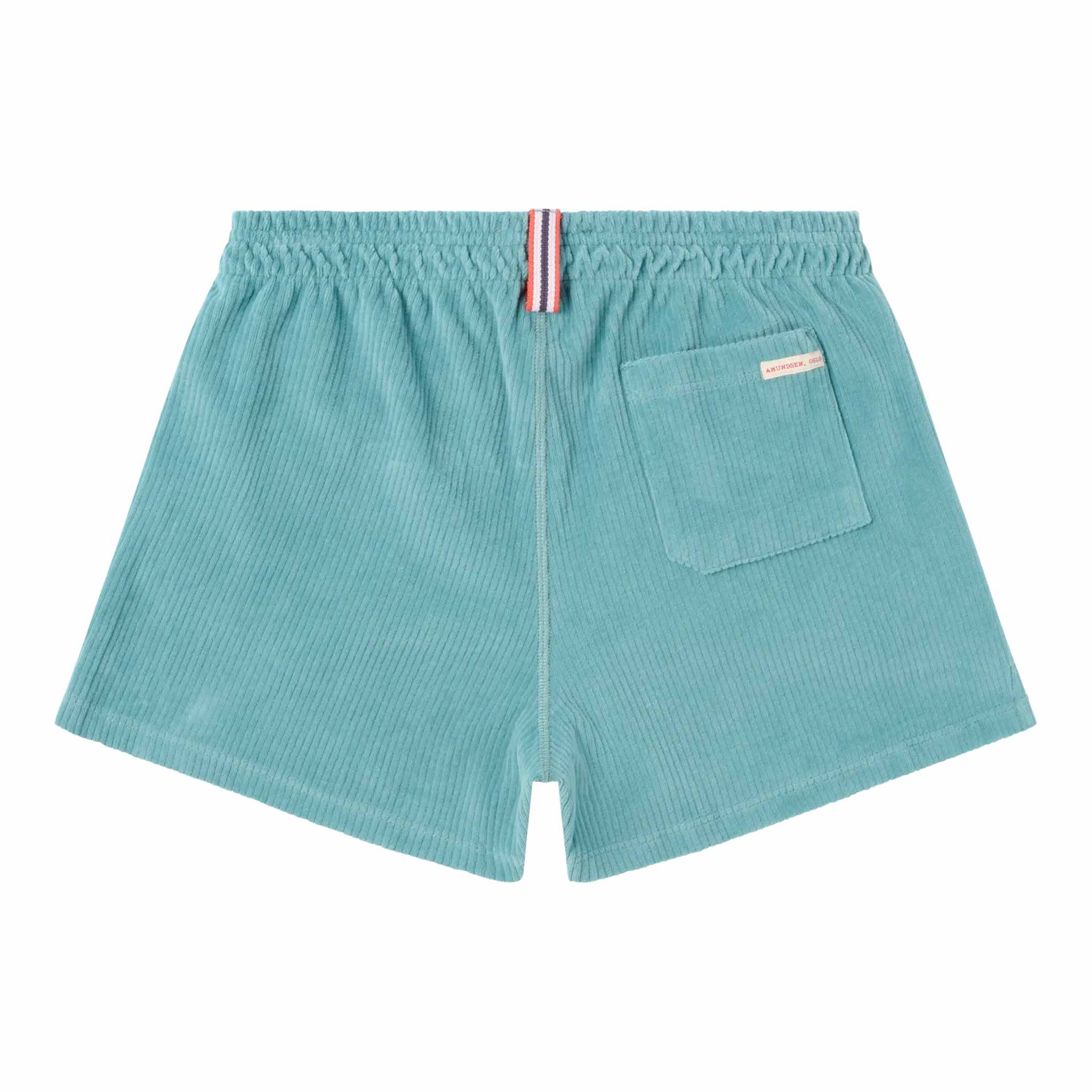 4 Incher Comfy Cord Shorts in Aqua