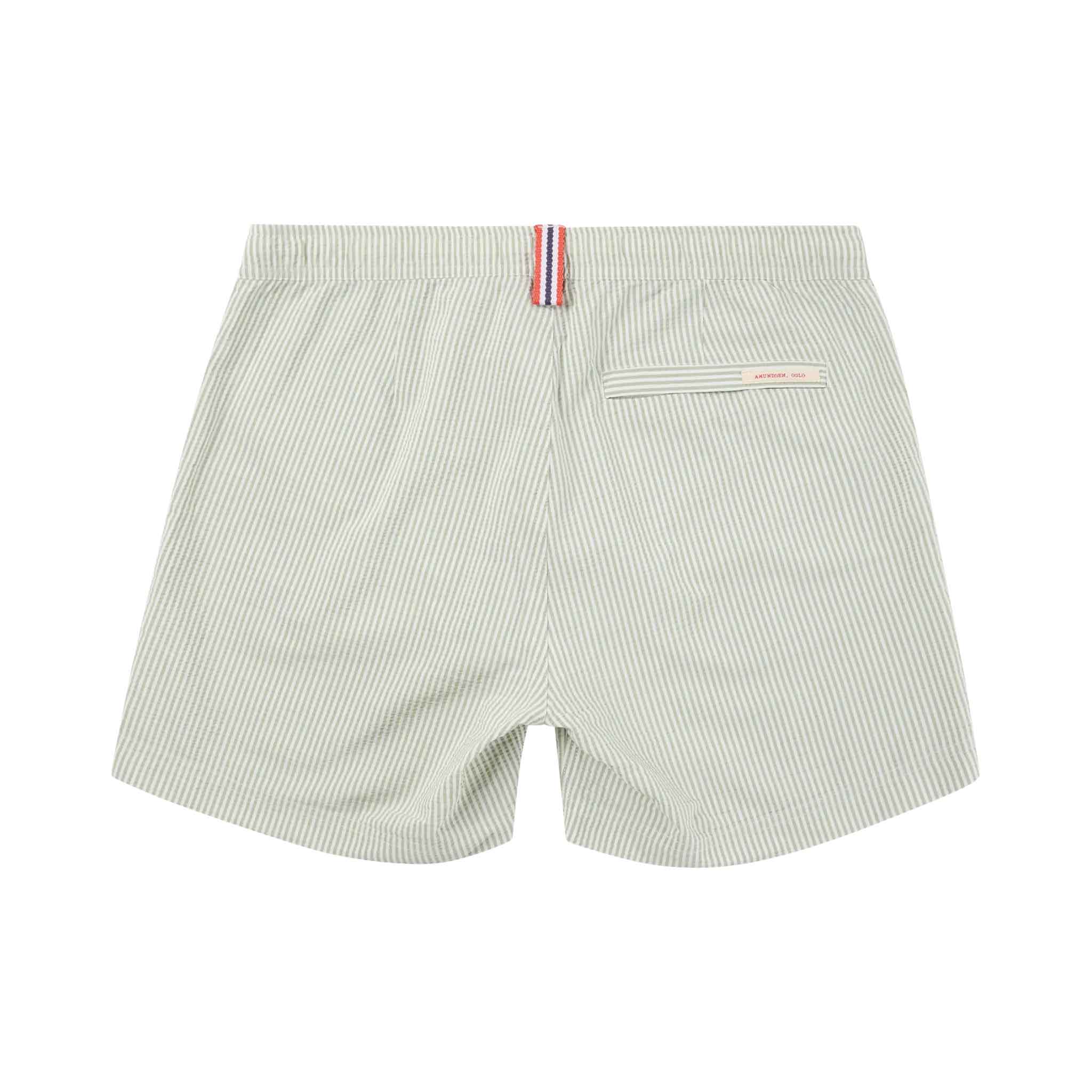 Soak Swim Shorts in Lichen Green
