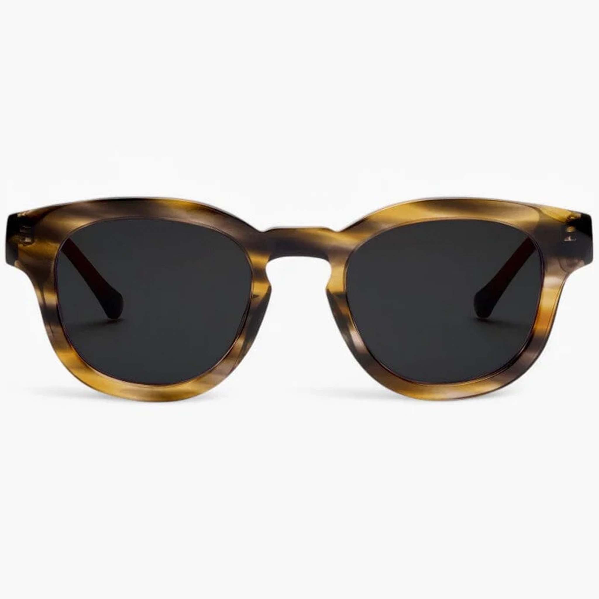 Westbourne Sunglasses in Pine