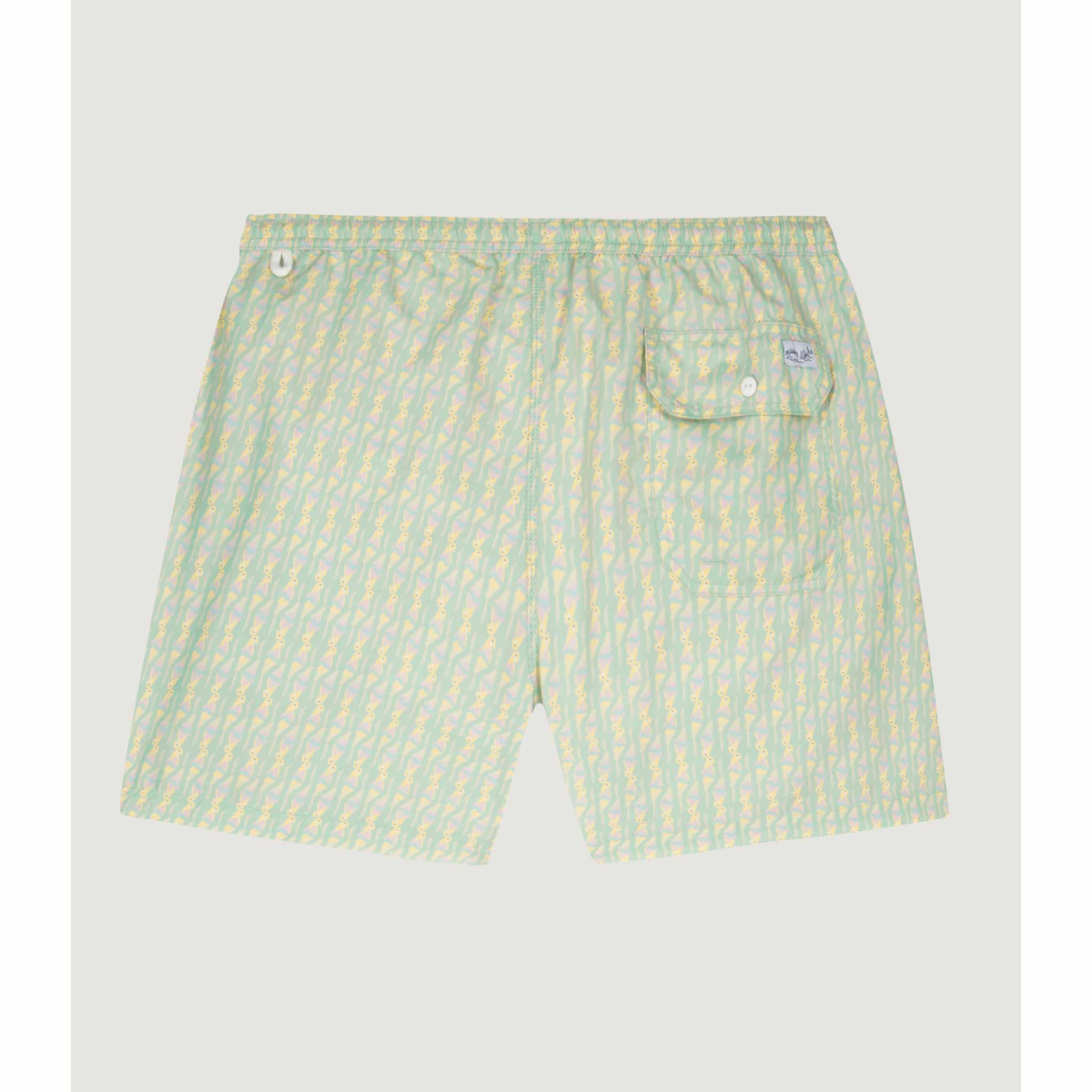 Parrots Swim Shorts